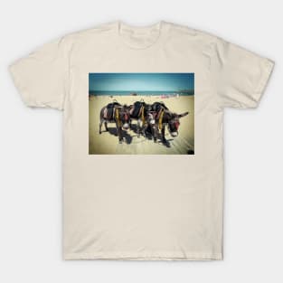 Donkeys T-Shirt